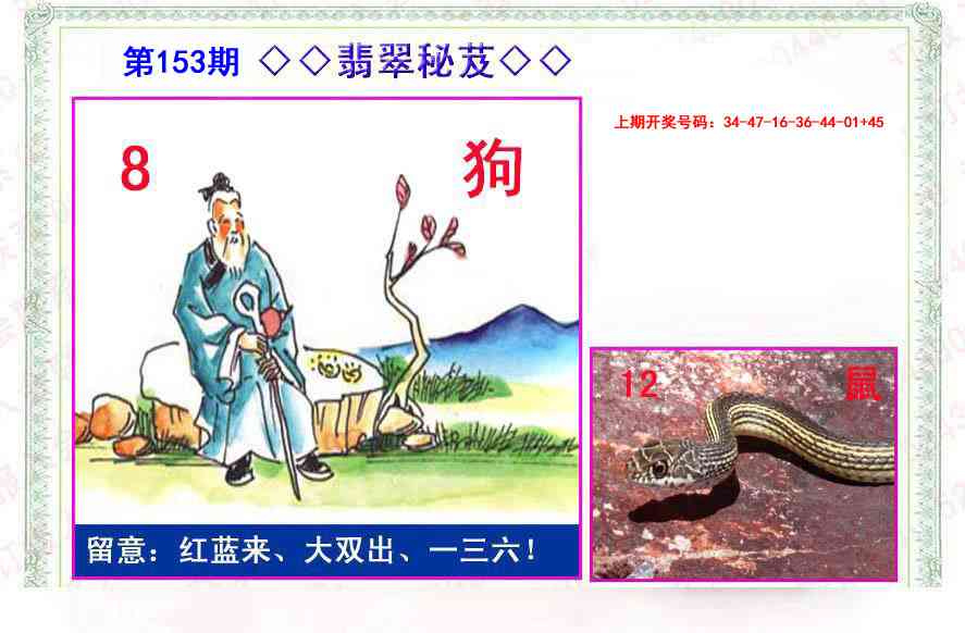 153期翡翠报[图]